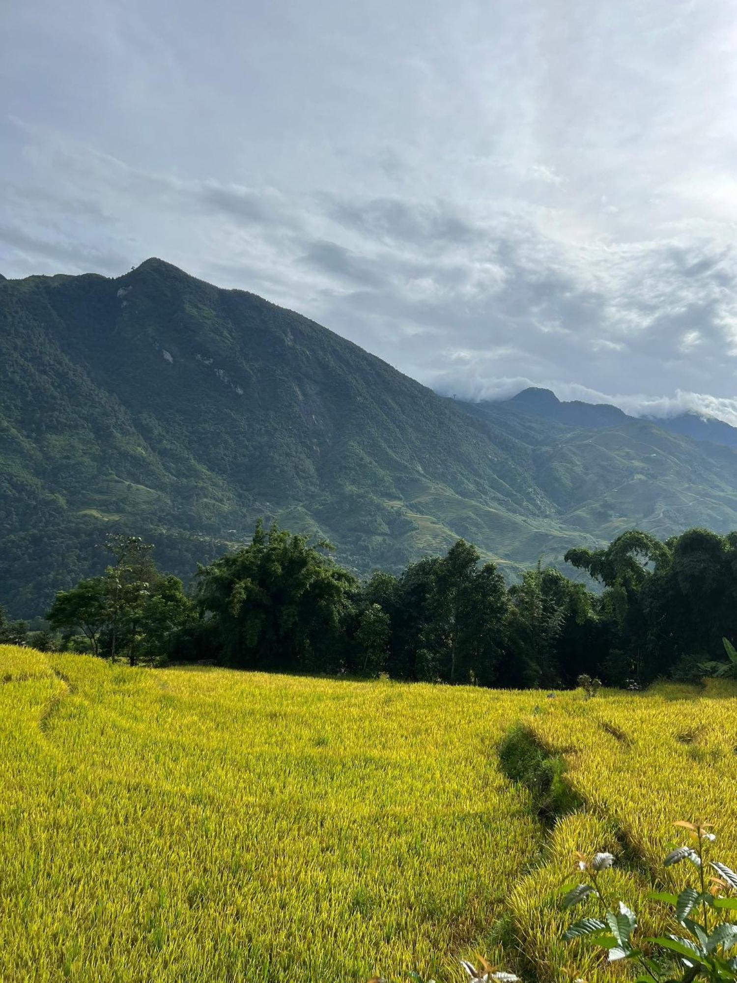 Khen Mong Nature Hotel Sapa Exterior foto